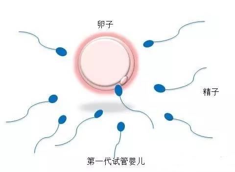 靠谱拉拉借卵咨询